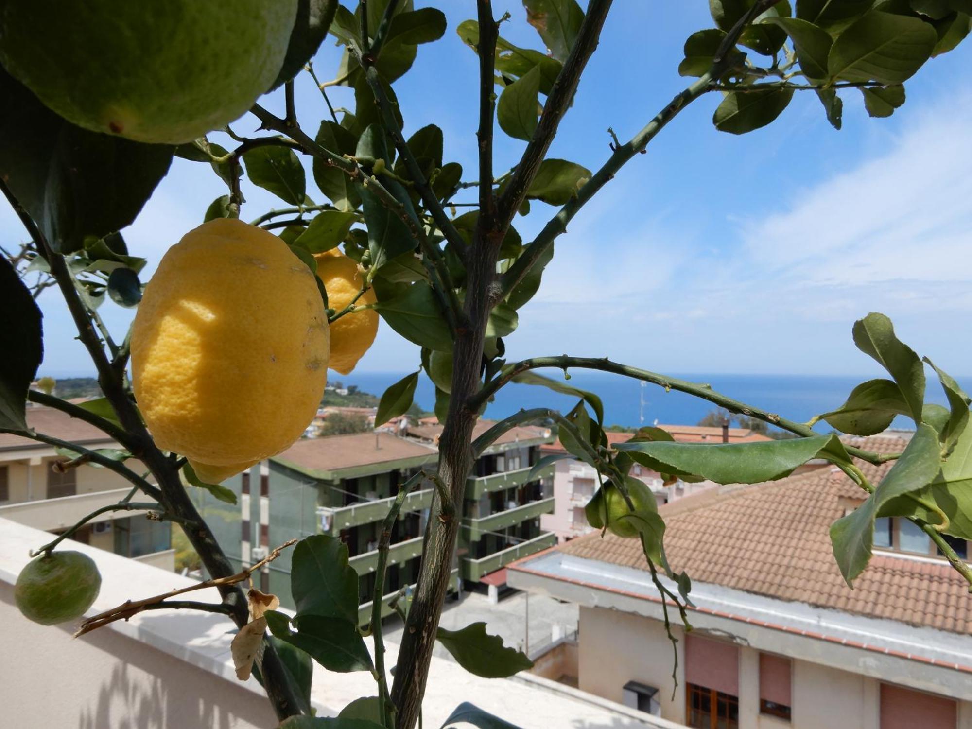 Middle Town Palace Tropea Ngoại thất bức ảnh